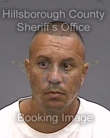 ROSARIO WILFREDO 05 29 2023 Hillsborough County Mugshots Zone