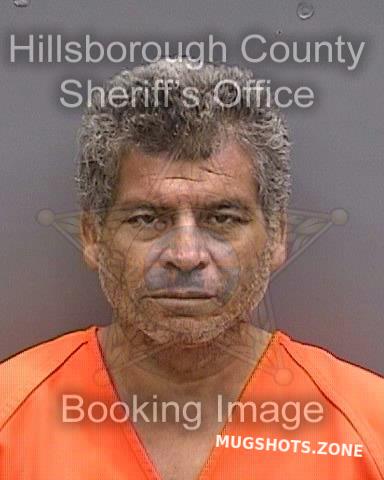 Najar Miguel Hillsborough County Mugshots Zone