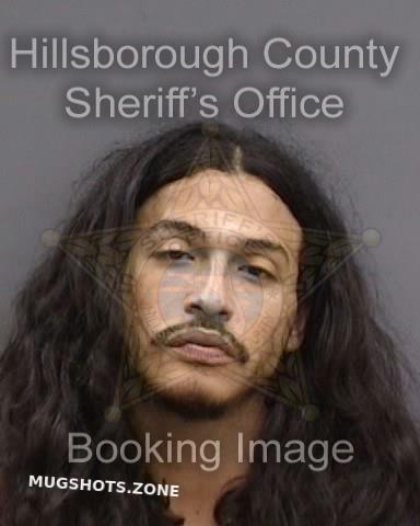 Sanchez Michael Hillsborough County Mugshots Zone