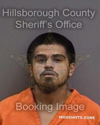 Luna Daniel Hillsborough County Mugshots Zone