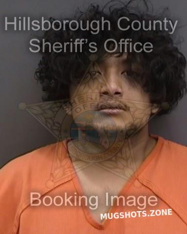 Chacko Alex Hillsborough County Mugshots Zone