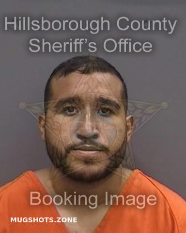 Gonzalez Jon Hillsborough County Mugshots Zone