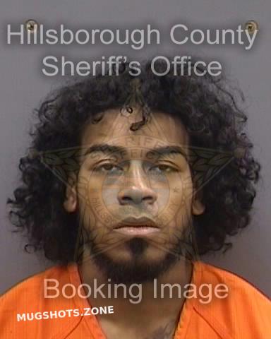 Santana Gregory Hillsborough County Mugshots Zone