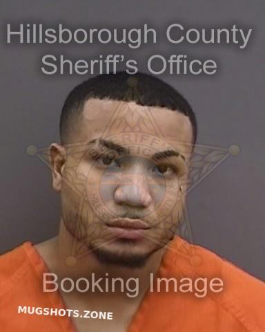 Ortiz Angel Hillsborough County Mugshots Zone