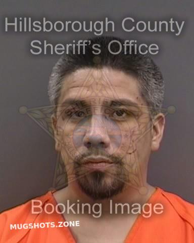 Cruz Daniel Hillsborough County Mugshots Zone