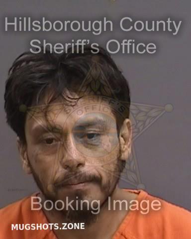 Gamez Juan Jr Hillsborough County Mugshots Zone