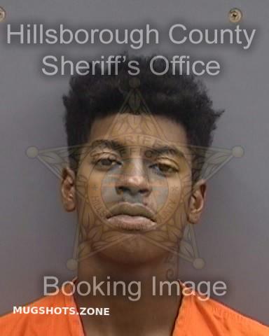 Williams Rodney Jr Hillsborough County Mugshots Zone