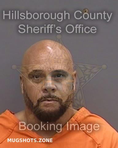 BROWN MICHAEL 08 16 2023 Hillsborough County Mugshots Zone