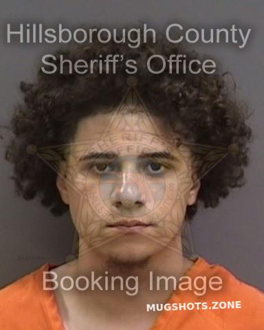 Holcomb Jacob Hillsborough County Mugshots Zone