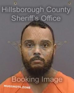 Bailey Marvin Hillsborough County Mugshots Zone