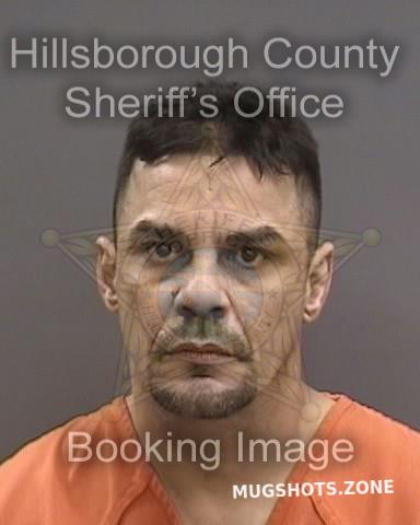 Salcedo Elvin Hillsborough County Mugshots Zone