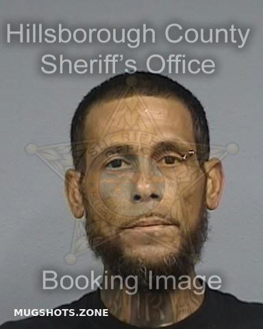 Lugo Soto Alberto Hillsborough County Mugshots Zone