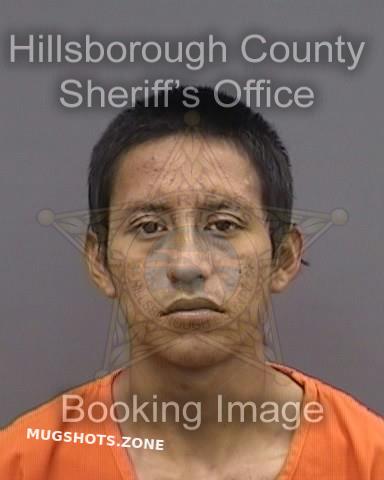 Gutierrez Gonzalez Freddy Hillsborough County Mugshots Zone