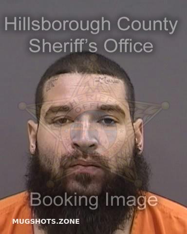 Soto Matteo Hillsborough County Mugshots Zone