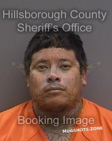 RUIZ SERGIO 11 20 2023 Hillsborough County Mugshots Zone