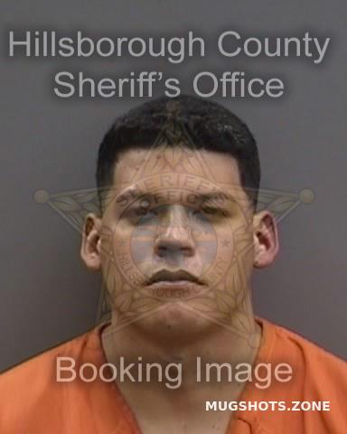 Roman Rodriguez Doumeyer Hillsborough County Mugshots Zone