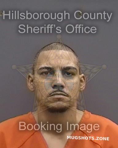 DELVALLE ALBARO 12 25 2023 Hillsborough County Mugshots Zone