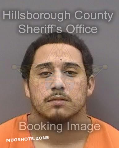 Martinez Joel Hillsborough County Mugshots Zone