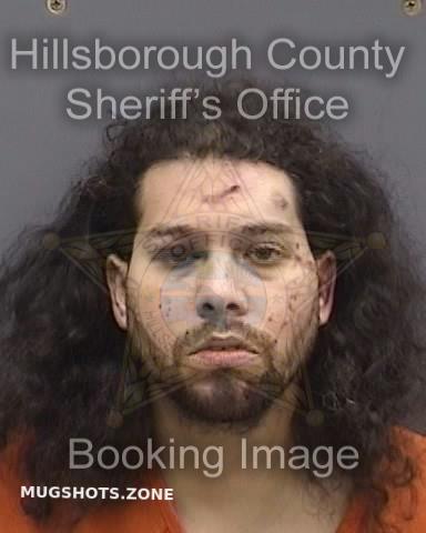 Molina Angel Hillsborough County Mugshots Zone