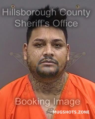 GUZMAN TORRES RAFAEL 01 12 2024 Hillsborough County Mugshots Zone