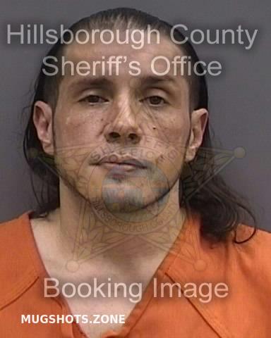 VALENTE NICHOLAS 01 20 2024 Hillsborough County Mugshots Zone