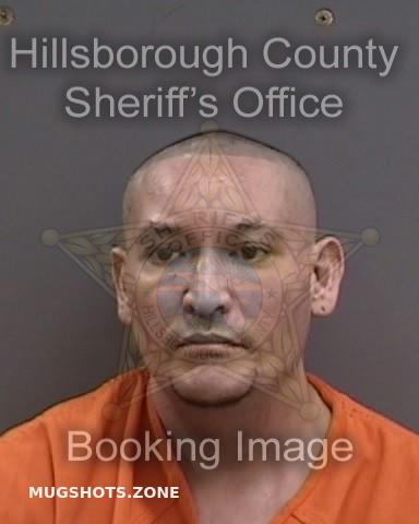 Costa Gabriel Hillsborough County Mugshots Zone