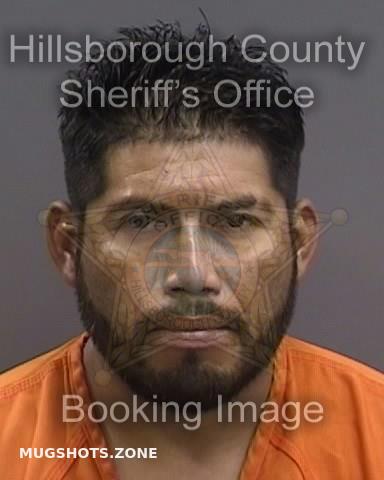 Garcia Paulino Hillsborough County Mugshots Zone