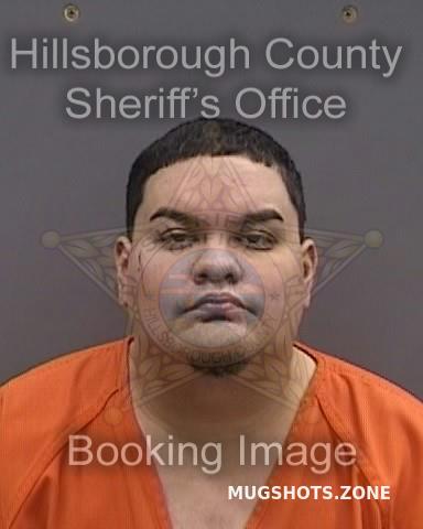 Alvarado Giovanny Jr Hillsborough County Mugshots Zone