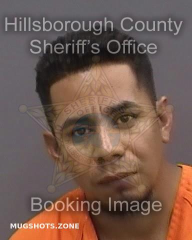 Jilva Orle Hillsborough County Mugshots Zone