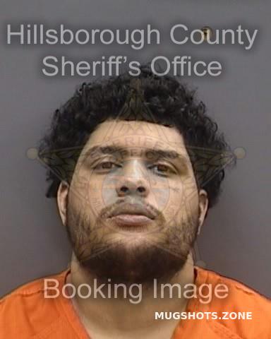 WATSON CHAD 02 12 2024 Hillsborough County Mugshots Zone