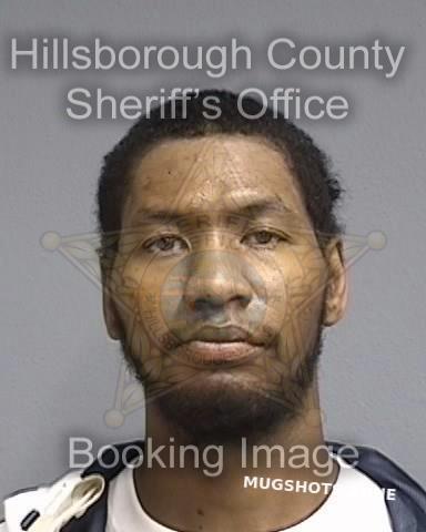 CRAWFORD DESMOND 03 11 2024 Hillsborough County Mugshots Zone