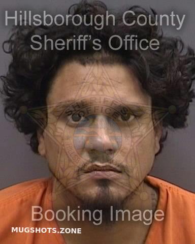 MORALES TOMMY 06 16 2024 Hillsborough County Mugshots Zone