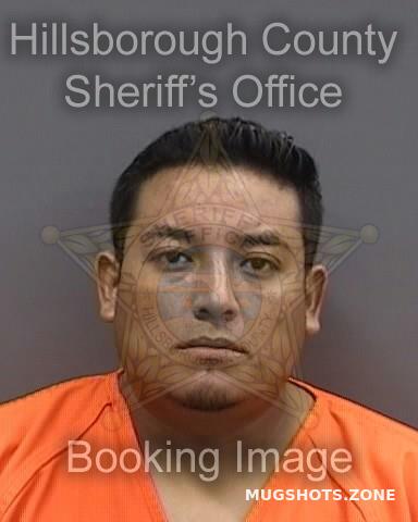 ORTIZ HERNANDEZ ELVIS 07 06 2024 Hillsborough County Mugshots Zone