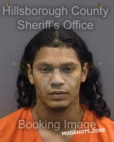 Rivera Christopher Hillsborough County Mugshots Zone