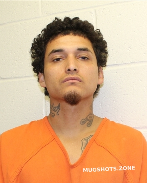 HERNANDEZ RICKY 08 20 2021 Hockley County Mugshots Zone