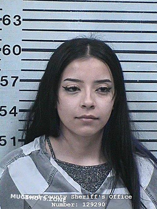 Espinoza Vanessa Hood County Mugshots Zone