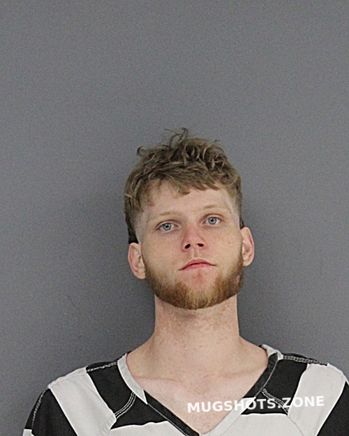 Jackson Logan Lee Hopkins County Mugshots Zone