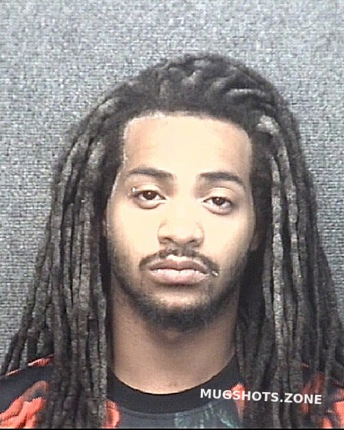 Antuna Leo Horry County Mugshots Zone