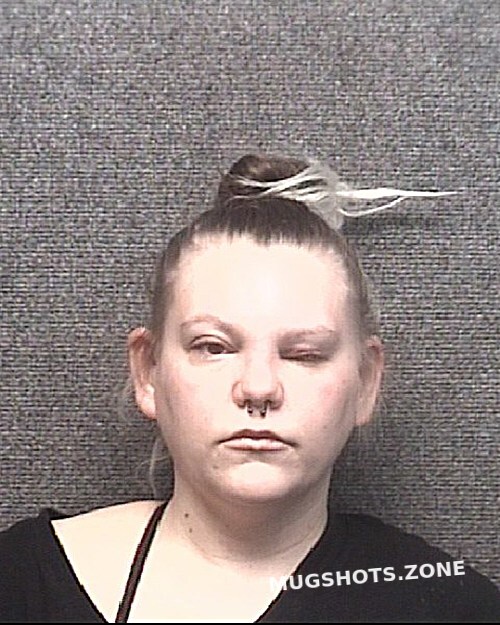 Cogar Erica Horry County Mugshots Zone