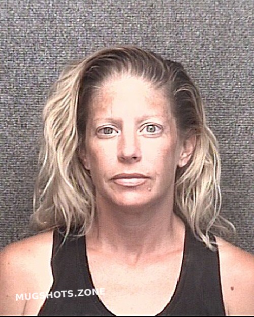 Hill Allison Brooke Horry County Mugshots Zone