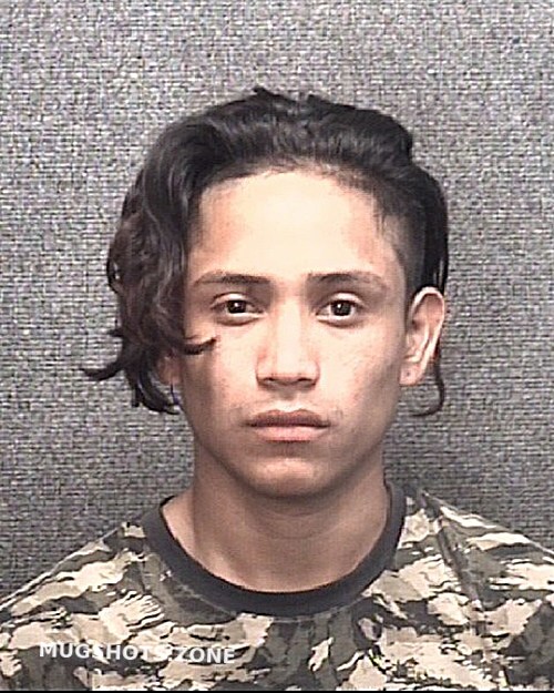 Esquivel Avalos Horry County Mugshots Zone