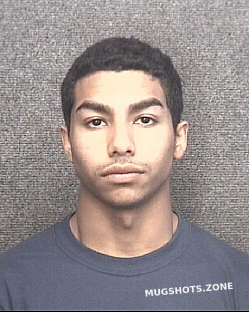 Aly Ahmed Kamal Horry County Mugshots Zone