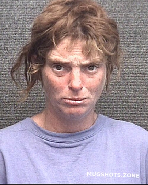 Olinger Alisa Horry County Mugshots Zone