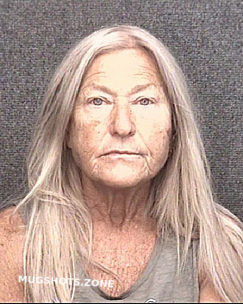 Nerison Ruth Naomi Horry County Mugshots Zone