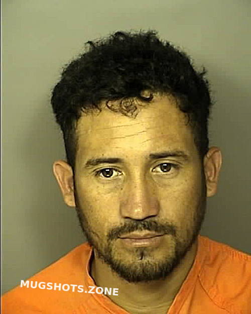 Sanchez Alcantara Jose Miguel Horry County Mugshots Zone