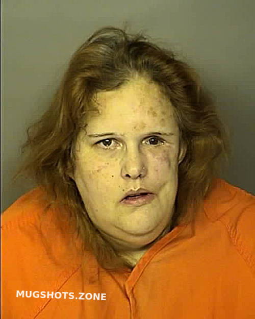 Richardson Christina Helms Horry County Mugshots Zone