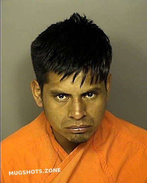 BERNAL FRANCISCO RAMIREZ 04 28 2024 Horry County Mugshots Zone