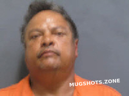 Nieves Angel Houston County Mugshots Zone