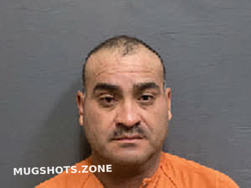 Gonzalez Cesar Juarez Houston County Mugshots Zone