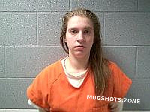 Burkett Kaitlin Rose Huron County Mugshots Zone